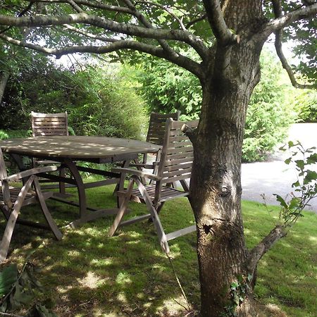 Ethan House Holiday Suites Killarney Eksteriør billede
